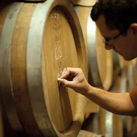 アパートホテル 2 Višnjan